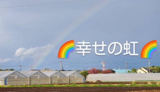 番外編『🌈幸せの虹🌈』【aloha南大塚vol.38】
