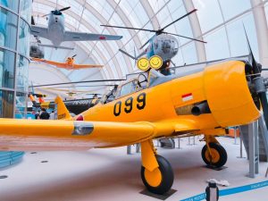 ✈️航空公園へ行こう(≧▽≦)✈️【aloha川越　vol.89】